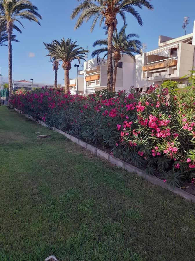 ארונה Primavera Apartment Olga With Free Wifi מראה חיצוני תמונה